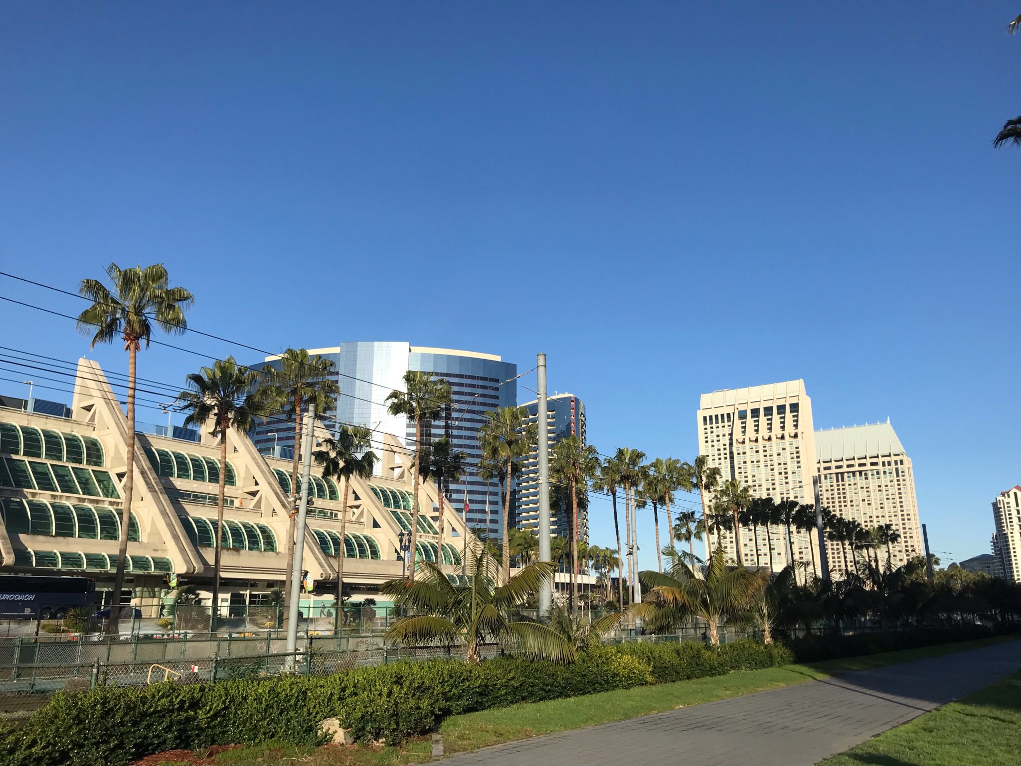 谷口教授がAACR Annual Meeting 2024（April 510, 2024, San Diego Convention